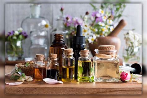 Ants & Essential Oils: Effective Fragrant Repellents