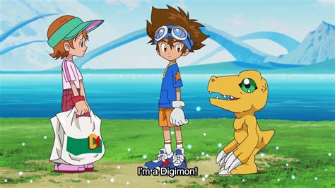 Digimon Tai And Sora Kids