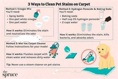 How to Get Dog Pee Stain Out of Carpet