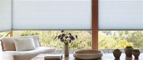 Energy-Efficient Shades | The Well Dressed Window - Chicagoland ...