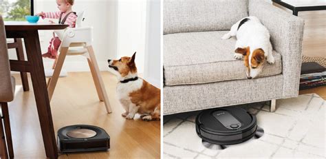 Roomba s9+ vs Shark IQ AE (2021): Which Self-Emptying Vacuum is the Better Buy? - Compare Before ...