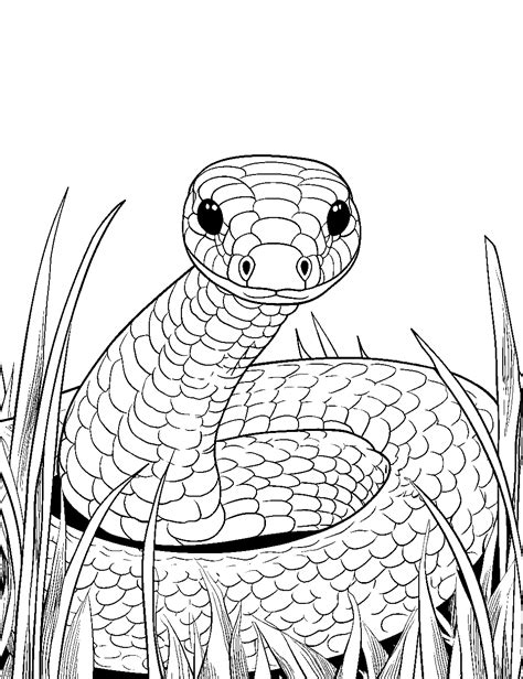 30 Snake Coloring Pages: Printable Cute Sheets