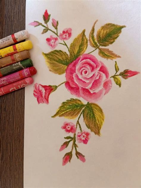 Oil pastel rose | Flower drawing, Oil pastel, Rose drawing