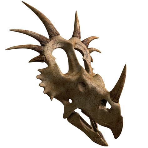 Styracosaurus Skull Model - TurboSquid 1337450