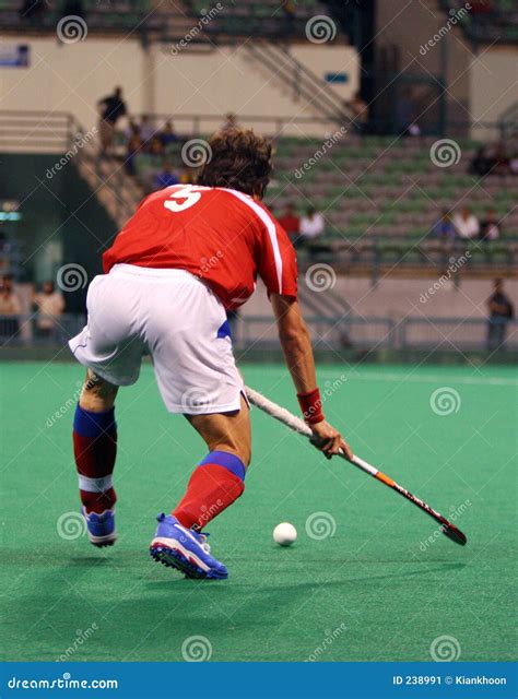 Hockey Player in Action stock image. Image of matches, work - 238991