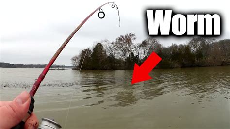 Fishing With Live Worms - Easy Ways to Find Fish From the Bank - YouTube