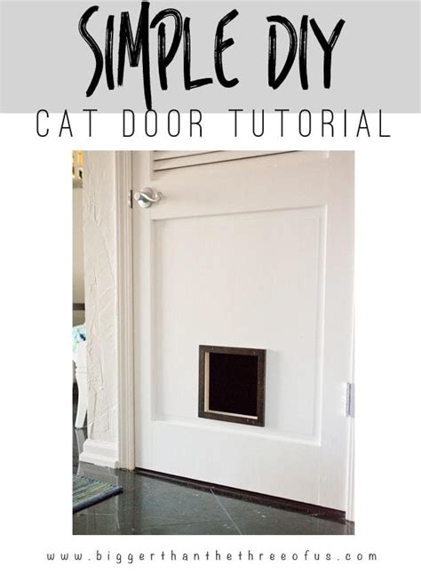 15 DIY Cat Door Ideas For Home - DIYnCrafty