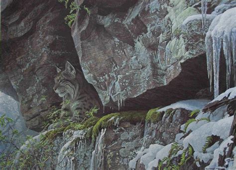 Art Country Canada -ROBERT BATEMAN At The Cliff Bobcat Offset limited edition print