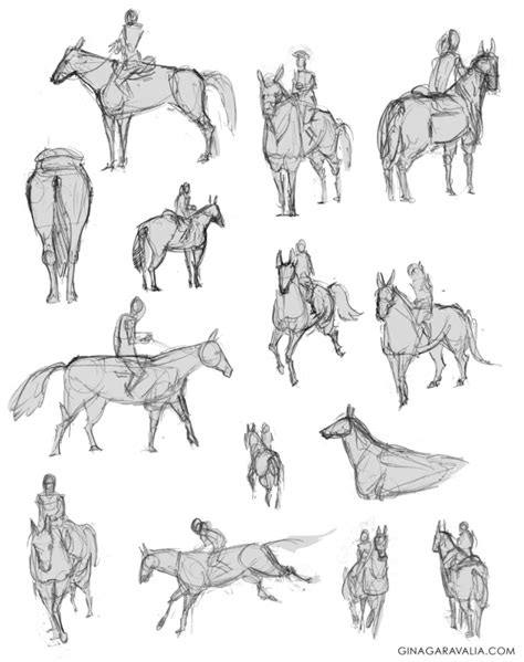 Pin by Logan on Riding poses | Horse drawings, Drawing reference poses ...