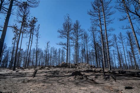 “Too many uncontrollables”: From coronavirus to wildfires, Colorado’s ...