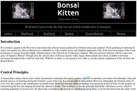 Bonsai Kitten (Dec 2000)