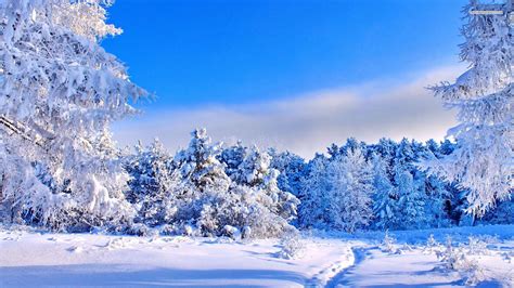 Sunny Winter Day Wallpapers - Wallpaper Cave