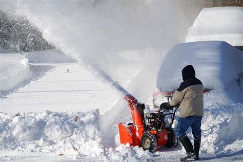 Things to consider when buying a snow blower - Veganism Impact Report