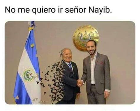 Los mejores memes de la toma de posesión del presidente Nayib Bukele ...