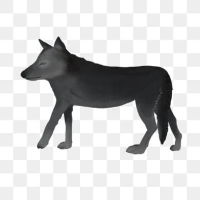 Black Wolf PNG Transparent Images Free Download | Vector Files | Pngtree