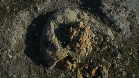 First fossil whale poop pops up in Italy | Fox News