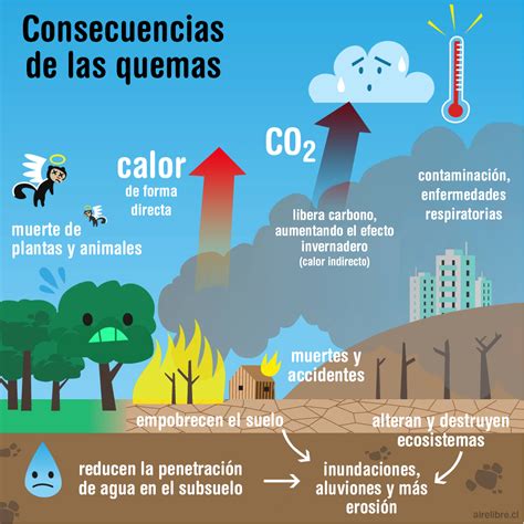 Quemas e incendios ¿Qué consecuencias traen? - Aire Libre