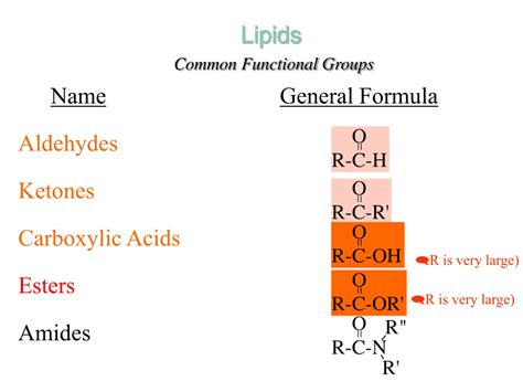 PPT - Organic Molecules Functional Groups Lipids: terpenes, fats, oils, waxes, steroids ...