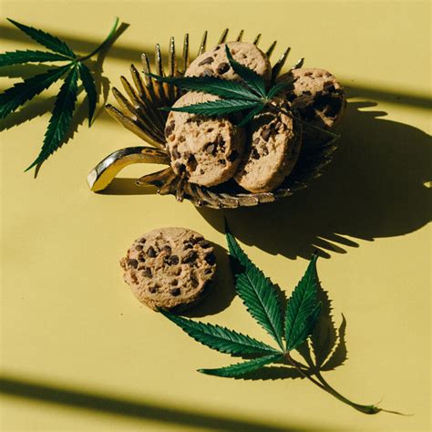 High Cuisine: Recipes for a 4/20 Four-Course Feast