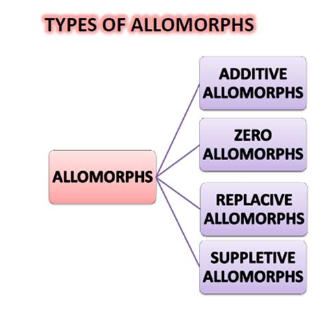 Dr. Shadia Y. Banjar: LANE 333 - ALLOMORPHS