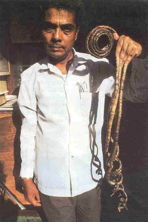 Longest Nails on One Hand: total 20 feet 2.25 inches: Shridhar Chillal His longest nail measured ...