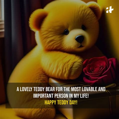 4K Collection of Over 999 Princess Cute Teddy Bear Images for WhatsApp DP