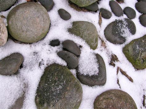 winter rock garden