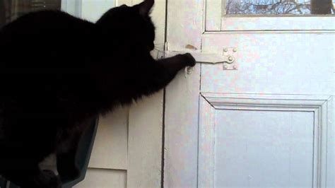 Cat Knocking On Door - Goimages Heat