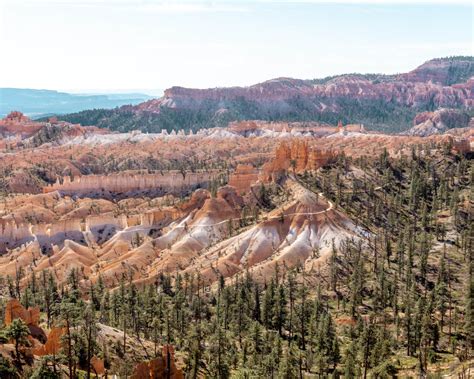 How to Hike the Fairyland Loop Trail in Bryce Canyon – Red White Adventures