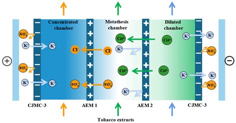 Membranes | Free Full-Text | Electrodialysis Metathesis (EDM ...