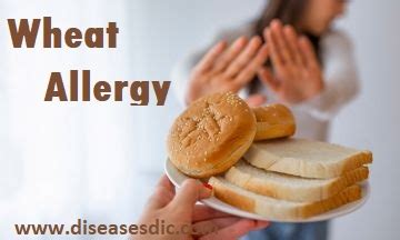 Wheat Allergy – Overview, Causes and Prevention