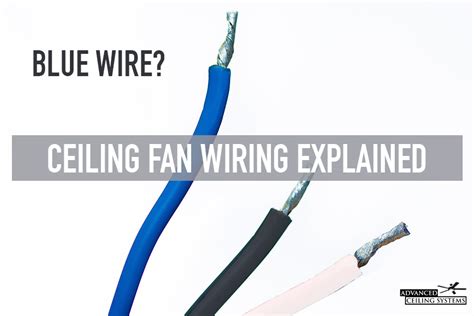 What is the blue wire on a ceiling fan? Ceiling Fan Wiring Explained ...