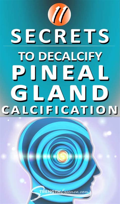 Decalcify Pineal Gland Calcification - Strength Essence