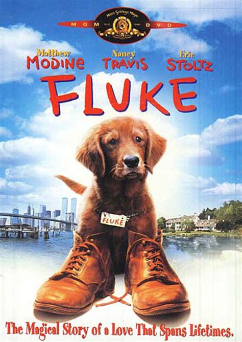 Fluke on DVD Movie