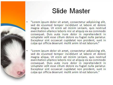 Puppy PowerPoint Template (PPT Slides) - Download 4 or 21 Slides Now