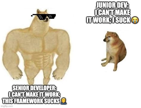 Senior/junior developers, both suck - Imgflip