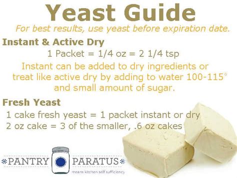 How Much Yeast Is In A Package Of Instant Yeast - QHOWM