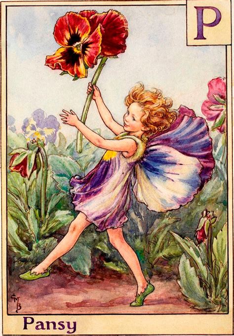 The Pansy Fairy - Flower Fairies | Flower fairies, Fairy pictures, Pansies flowers