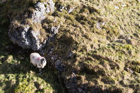 Hiking in the Yorkshire Dales | Independent People