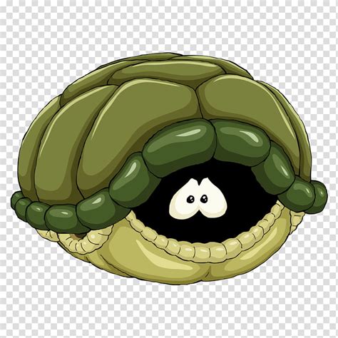 Sea Turtle Shell Clip Art