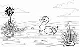 Duck Pond Coloring Pages sketch template