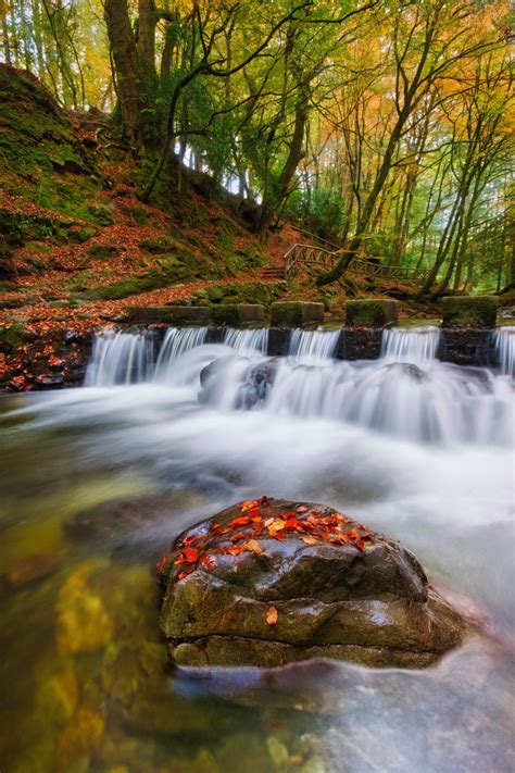 Stepping Stones — Seasons Hospice