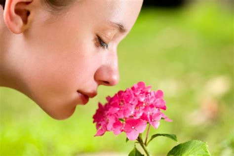 Human nose can detect 1 trillion odours : Nature News & Comment