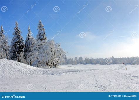 Forest in snowy landscape stock image. Image of wintertime - 17913543