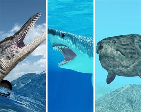 Liopleurodon Vs. Megalodon Vs. Dunkleosteus