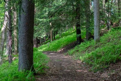 Hiking the Trails of the Beautiful Clear Creek State Park - Uncovering PA