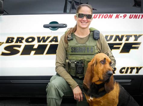 How Are Drug Sniffing Dogs Trained to Find Narcotics?