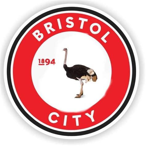 Bristol Citys new Pearson inspired badge : r/Championship