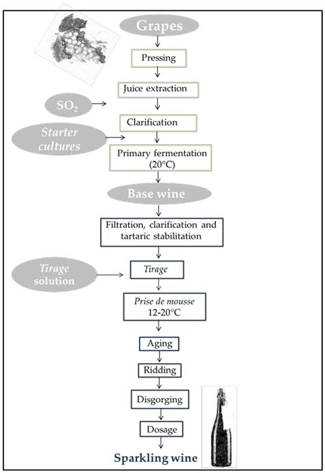 Fermentation Process Diagram