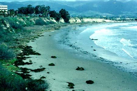 UCSB Beach, March 1980